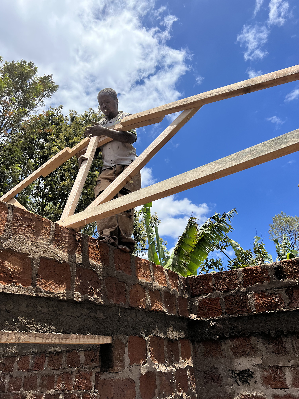 Build-to-Grow build to grow